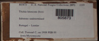 Image Associated With the Occurence
